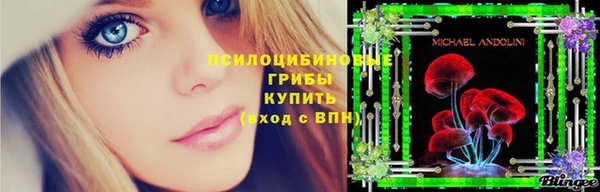 2c-b Абинск