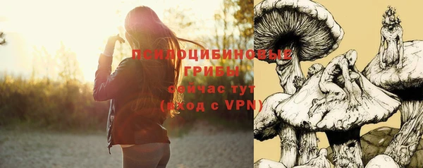 стаф Абдулино